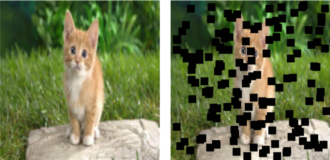 Example of 150 masks on a cat