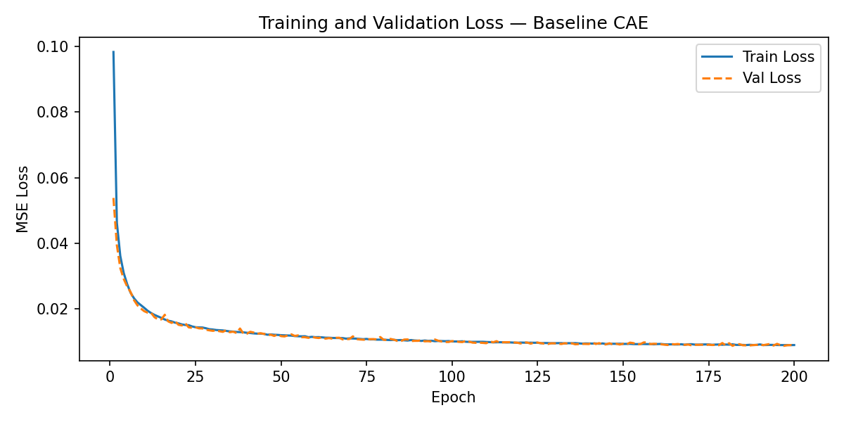 Baseline training loss curve