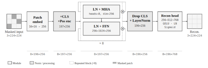 ViT architecture